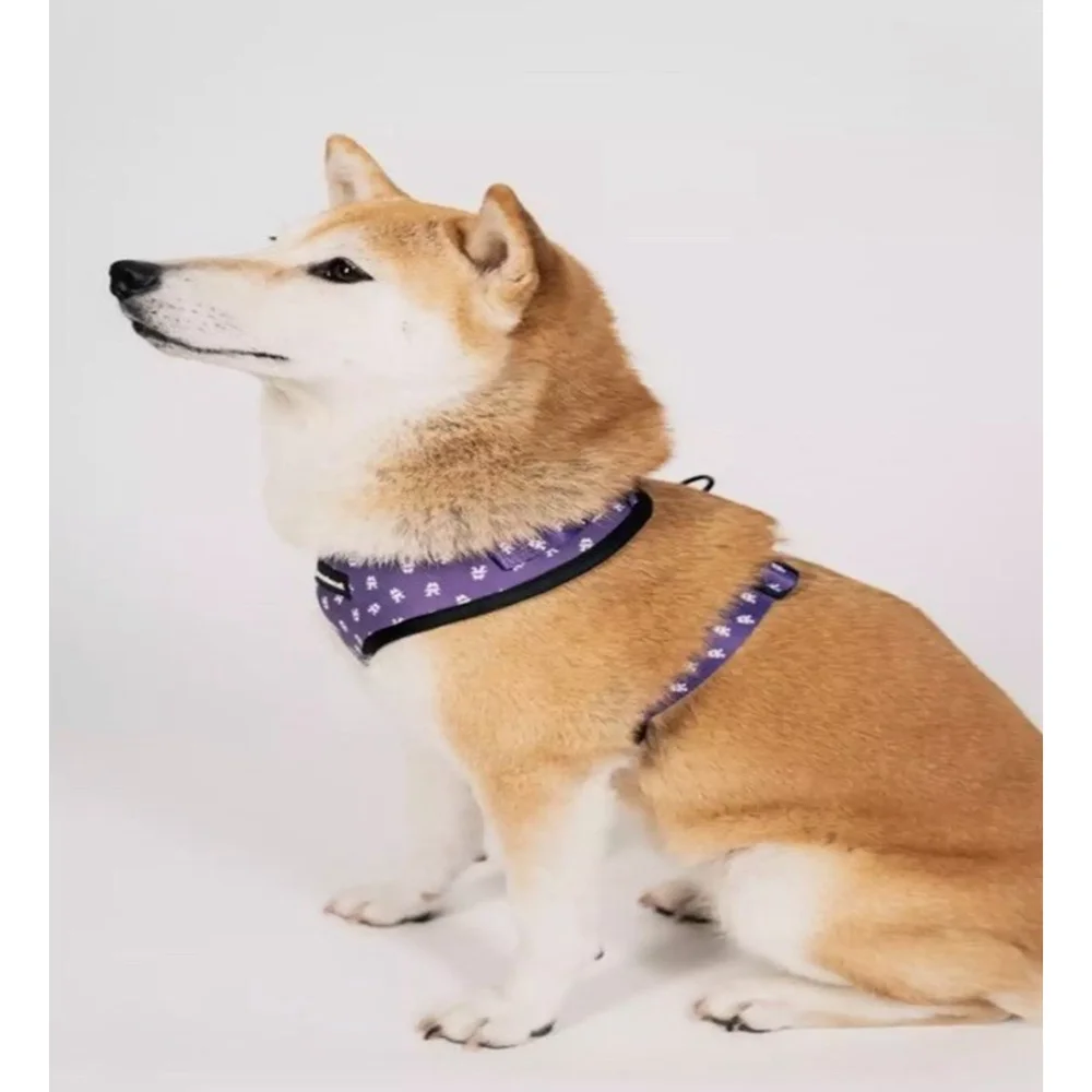 Monstercat Pet Harness 3 Piece Set Leash Collar Harness Size Small Dog NEW